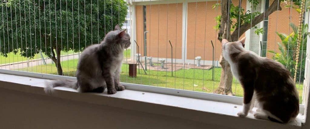 Invisible Grille For Cats